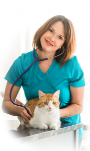 At-Home Vet Services Calgary