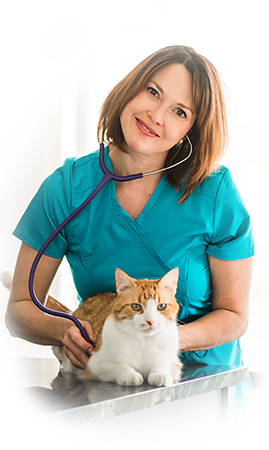 About - Dr. Wendy Vet Care